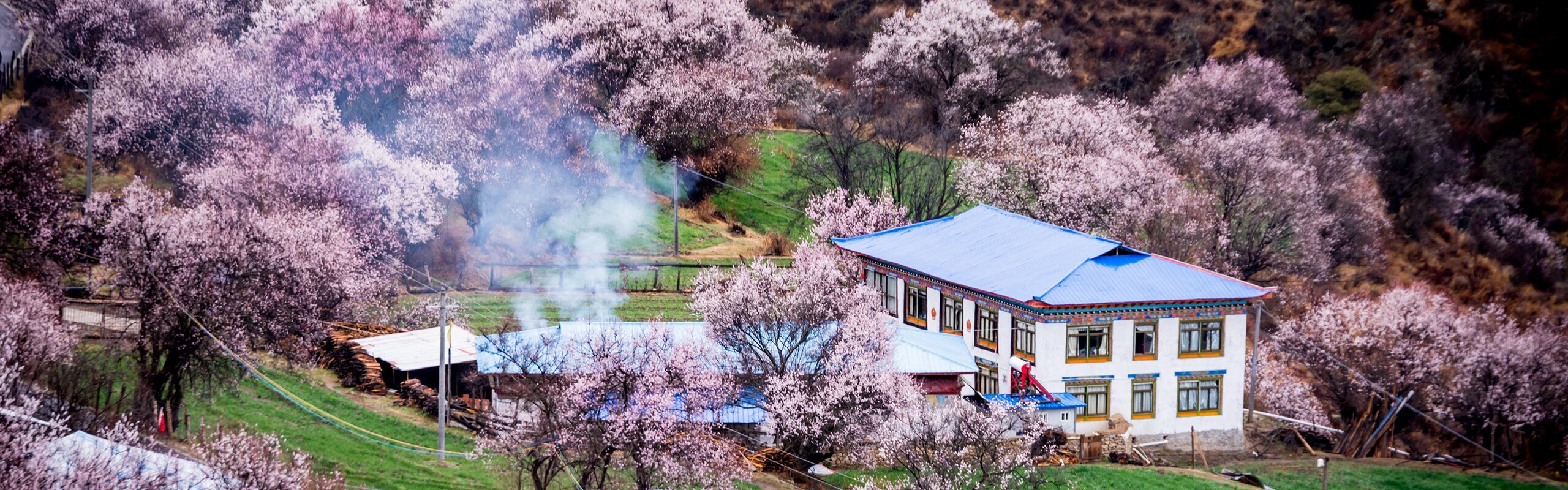 Weather in China in March & Top Places for Cherry Blossom 2026