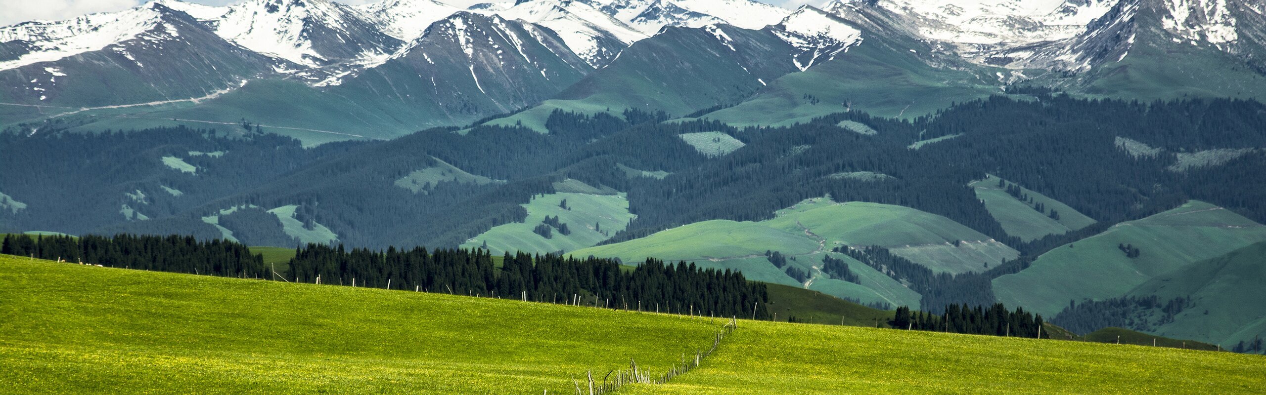 Weather in China in June: Is It a Good Time to Visit?