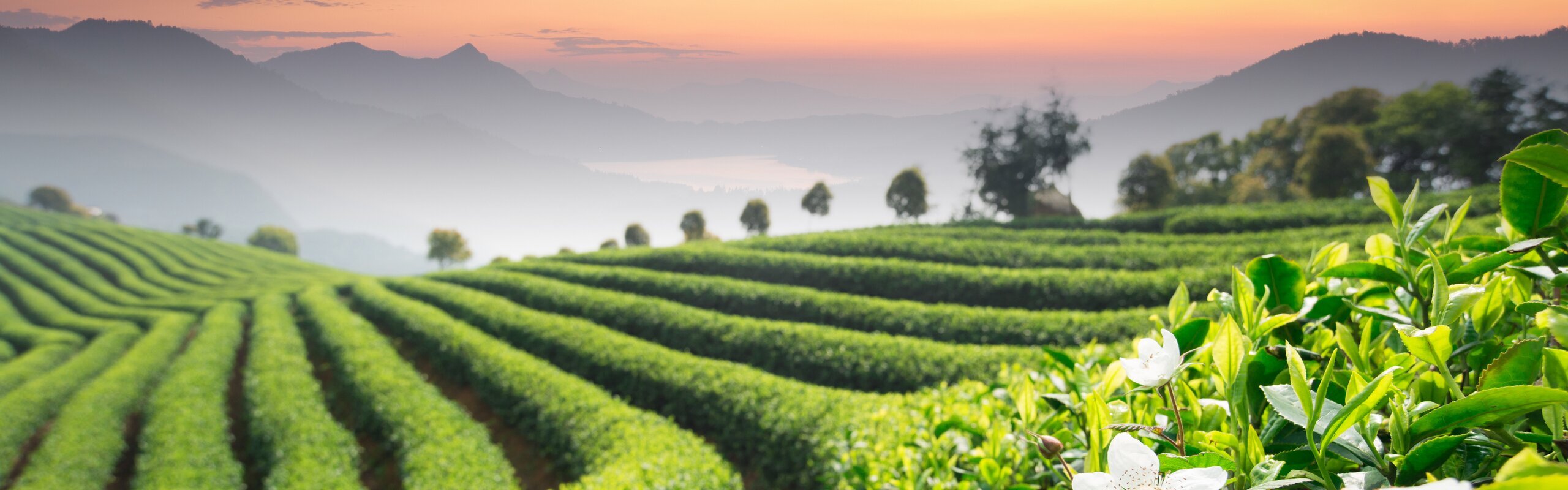 Hangzhou Weather — Best Time to Visit